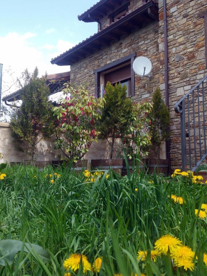 El Huerto De Leon Villa Pradena del Rincon Ngoại thất bức ảnh